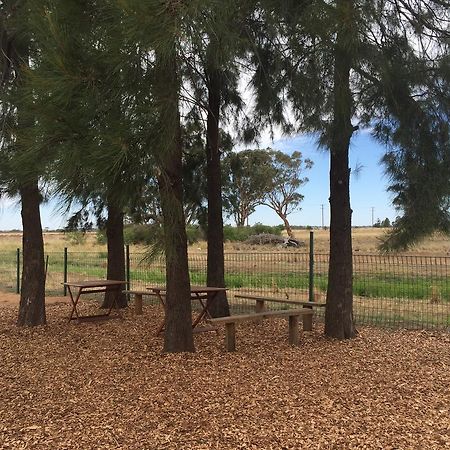 فندق دوبوفي  Aussie Cabins المظهر الخارجي الصورة